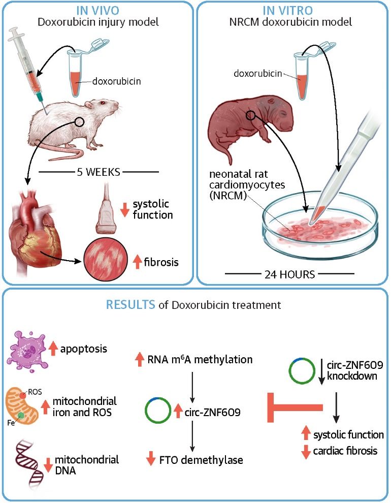D076DEC15BA3324B05C238A0BB0_9E595E5A_1CACA