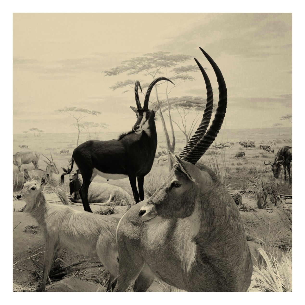 254CA180F3BB8C761B628B75555_35E4CDFB_3909F