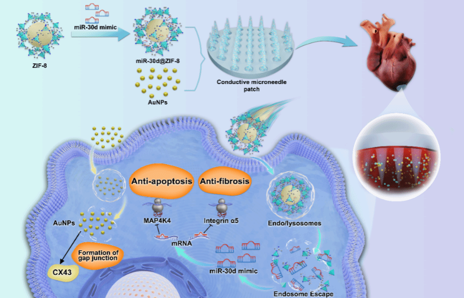 643BF0C69D95E00407C51852768_7D0A5431_29293 643BF0C69D95E00407C51852768_7D0A5431_29293