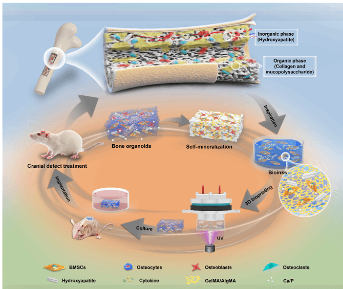 Ê×Ò³- б¦GG¼¯ÍÅ´´ÔìÊÂҵƽ̨