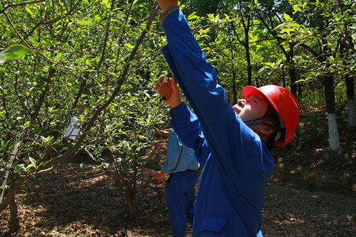 ��ҳ- �±�GG���Ŵ�����ҵƽ̨