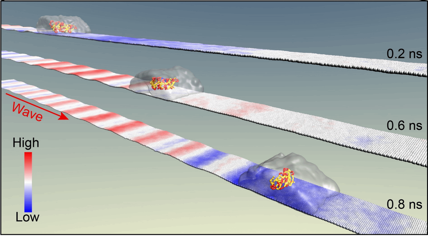 ��ҳ- �±�GG���Ŵ�����ҵƽ̨