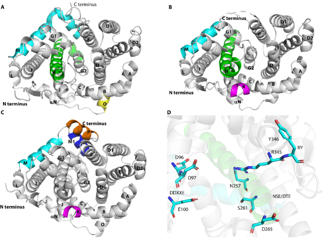 9F40F0DEDC68255D28461218348_103769E3_3B006 9F40F0DEDC68255D28461218348_103769E3_3B006