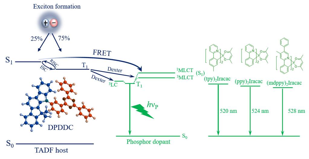 ��ҳ- �±�GG���Ŵ�����ҵƽ̨