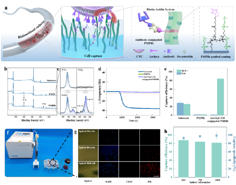 7B39BE4B11292C868F36F854187_90AC0E40_1F7B4
