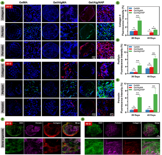 Ê×Ò³- б¦GG¼¯ÍÅ´´ÔìÊÂҵƽ̨