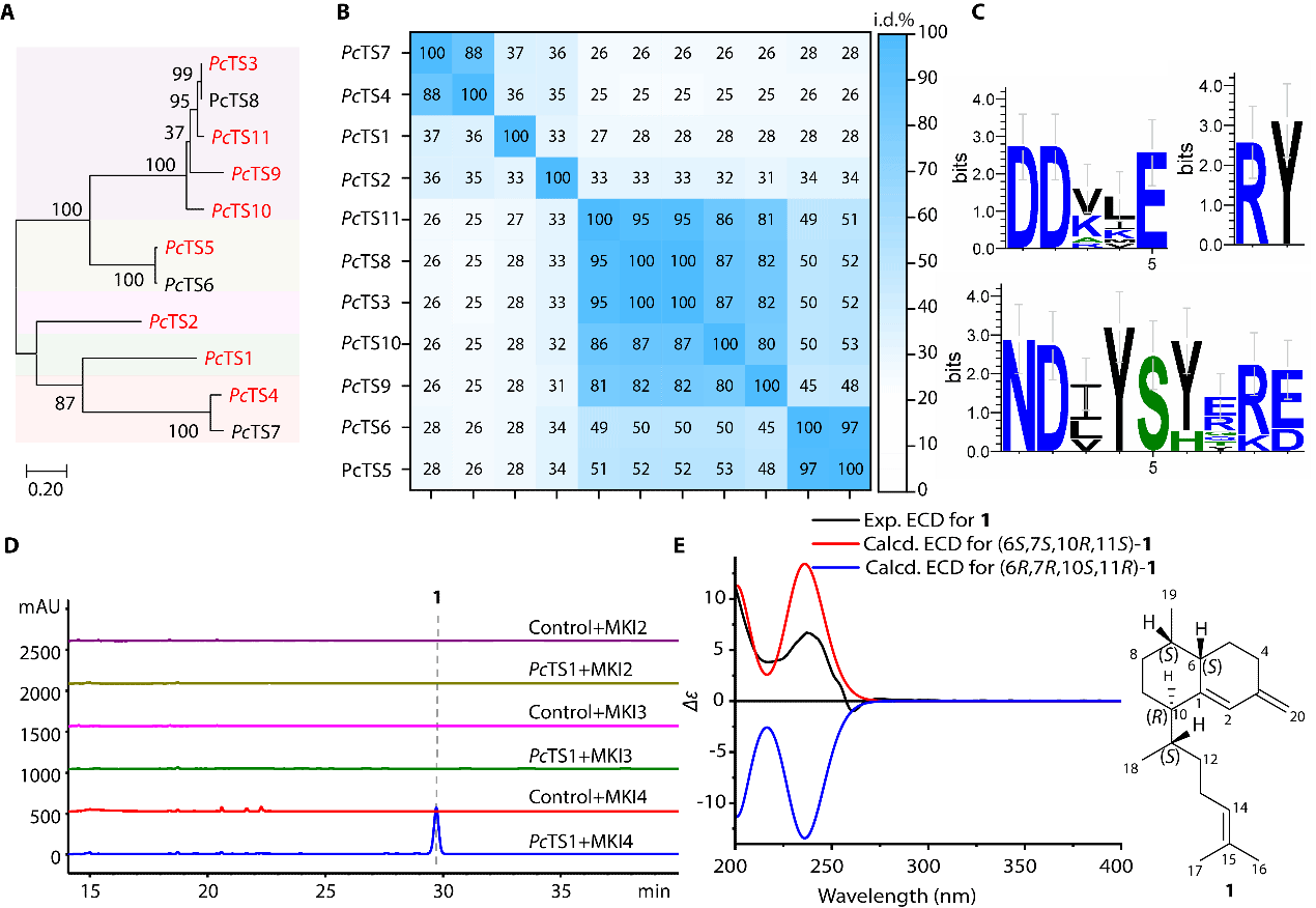 D53E5CFC29D8AC1EB487FB282E7_9754BFE6_DAED D53E5CFC29D8AC1EB487FB282E7_9754BFE6_DAED
