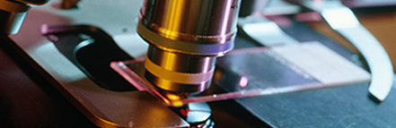 ��ҳ- �±�GG���Ŵ�����ҵƽ̨